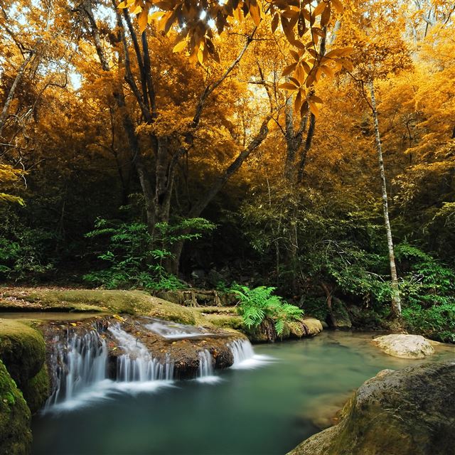 2048x2048 Forest Cascade Corner - corner iPad Air Wallpaper