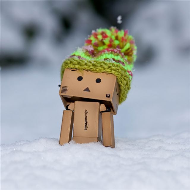 2048x2048 Danbo Discovering Snow - danbo iPad Air Wallpaper