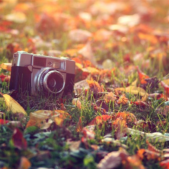 2048x2048 Old Camera 2 - sunshine iPad Air Wallpaper