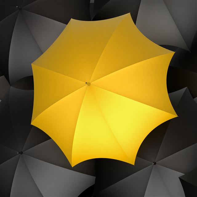 2048x2048 Let It Rain - umbrella iPad Air Wallpaper