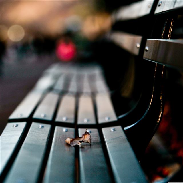 2048x2048 Save My Love For Loneliness - light iPad Air Wallpaper