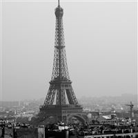 Tower Eiffel Black And White  wallpaper