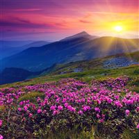 Sun Shining Over Hills wallpaper