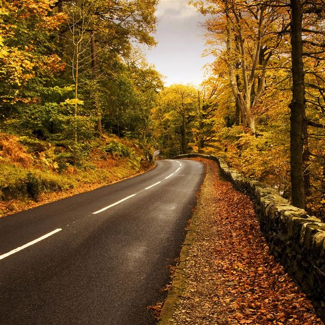 2048x2048 Autumn Road 2 - road iPad Air Wallpaper