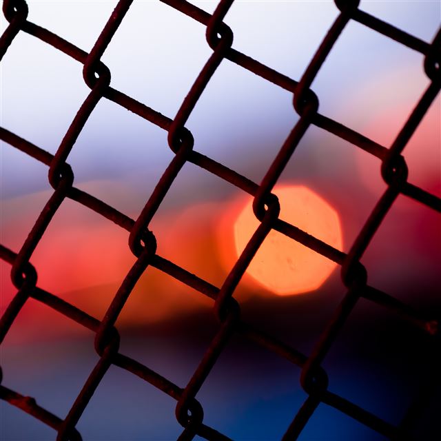 2048x2048 By Chance - wire iPad Air Wallpaper