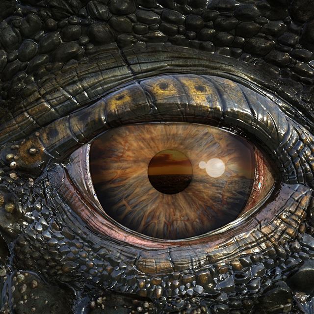 2048x2048 Mosasaur Eye - clear iPad Air Wallpaper