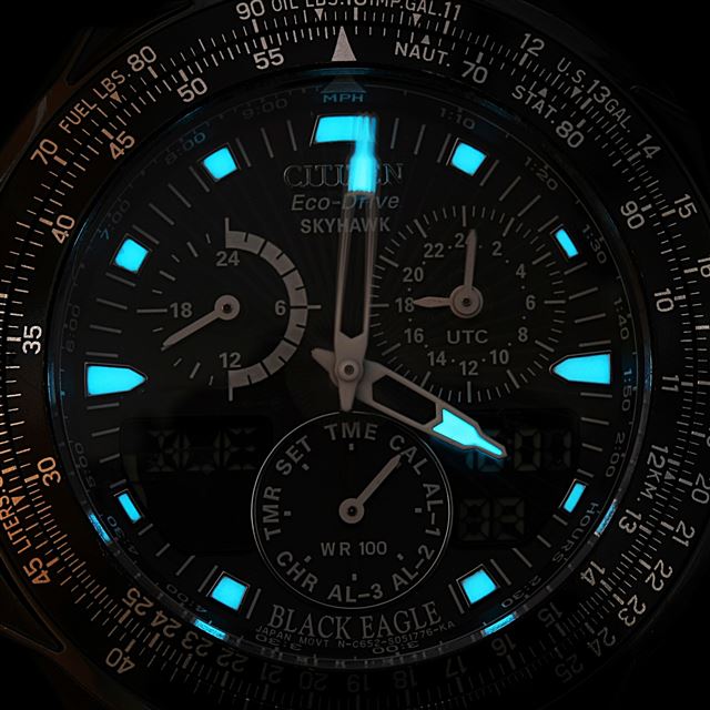 2048x2048 Citizen Wristwatch - light iPad Air Wallpaper