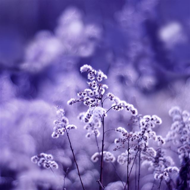 2048x2048 Motion Blur - bokeh iPad Air Wallpaper