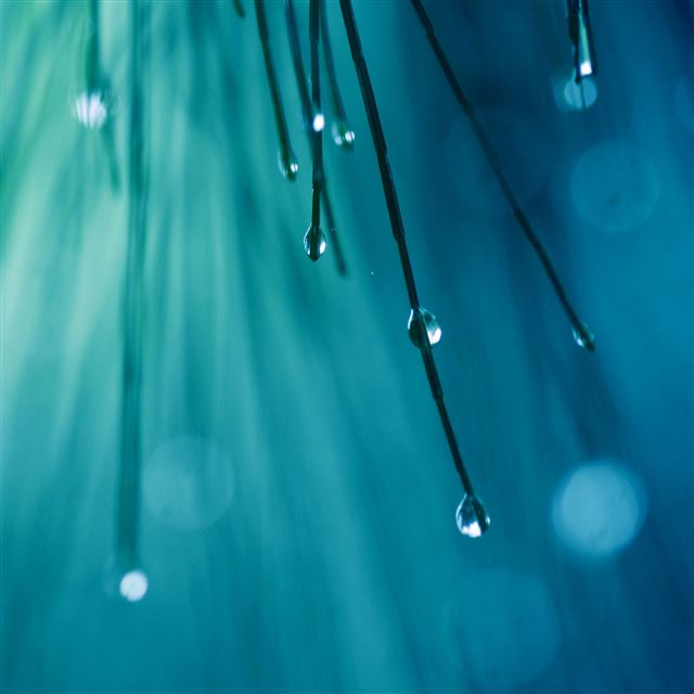 2048x2048 Rainy - bokeh iPad Air Wallpaper