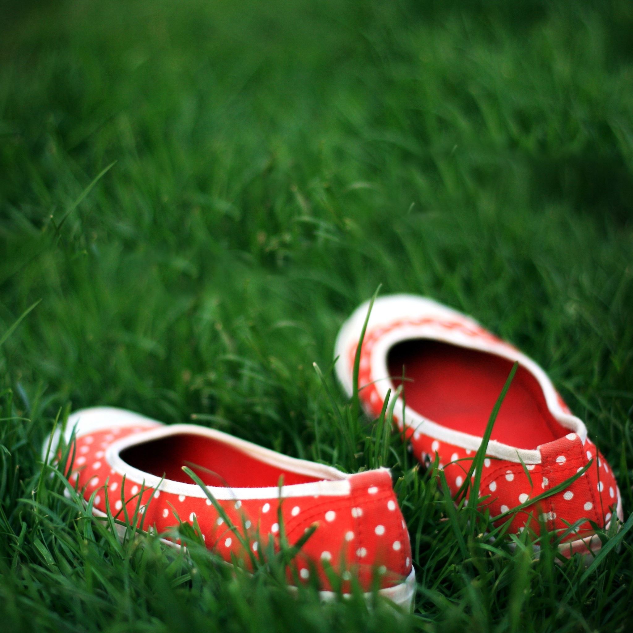 Red Shoes in the grass iPad Air wallpaper 