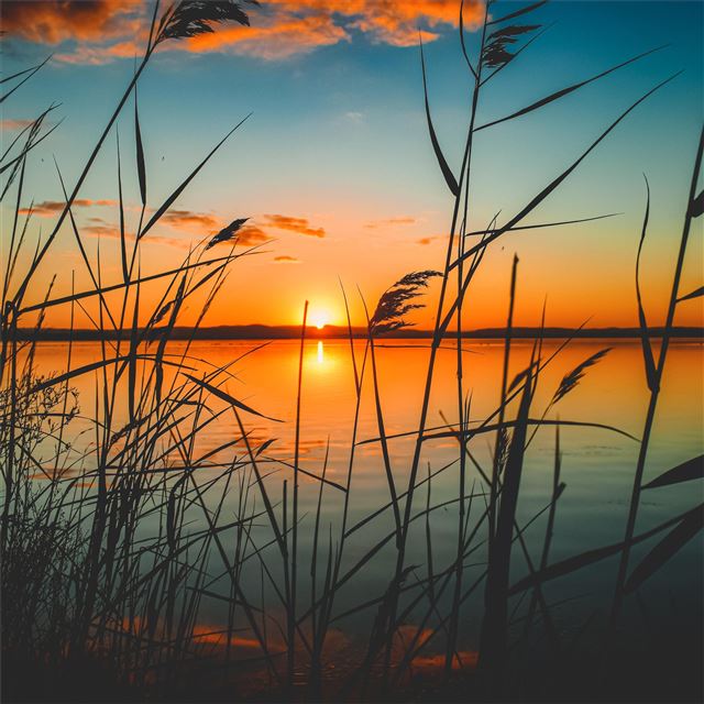 2048x2048 scenic view of lake during sunset 5k - lake iPad Air Wallpaper