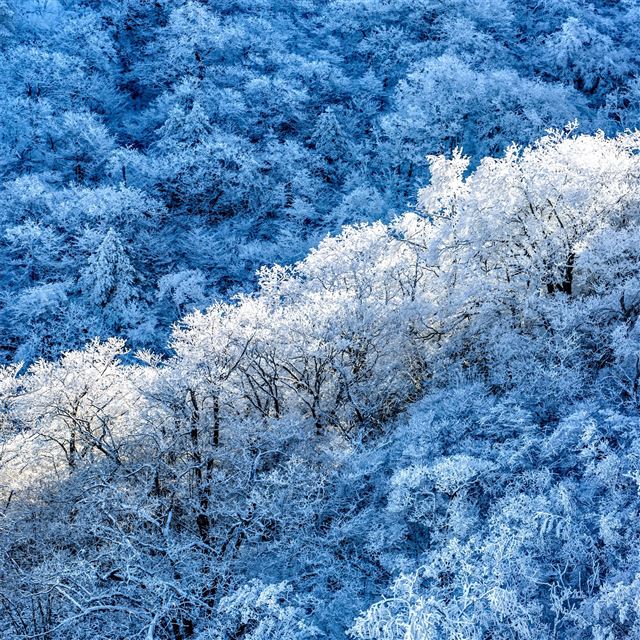 2048x2048 frost snow 5k -  iPad Air Wallpaper