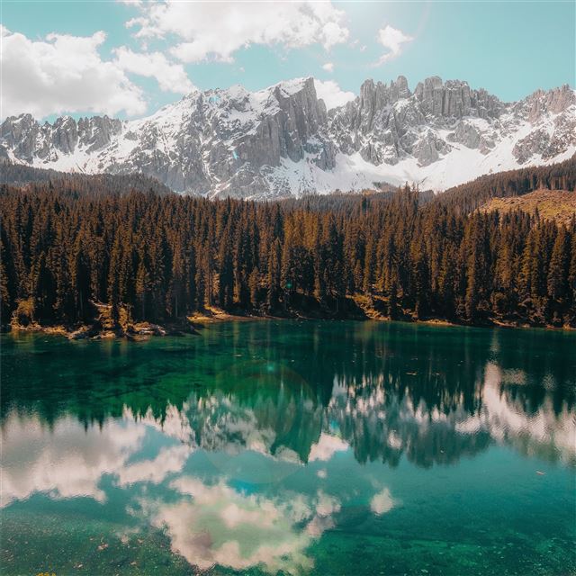 2048x2048 water body and trees 5k - trees iPad Air Wallpaper
