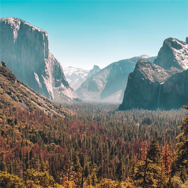 2048x2048 forest mountain yosemite valley 5k - 4k iPad Air Wallpaper
