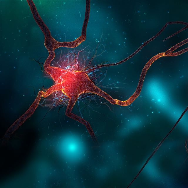 2048x2048 Neuron - bokeh iPad Air Wallpaper