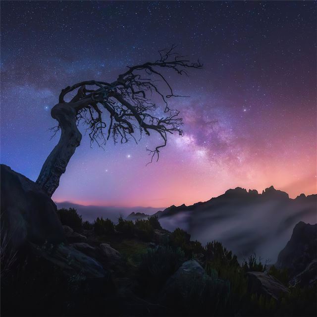 2048x2048 sunrise madeira portugal 4k - 4k iPad Air Wallpaper