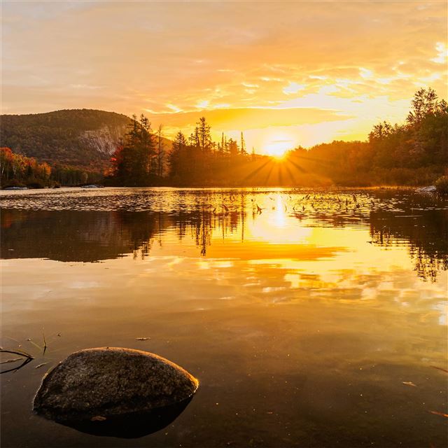 2048x2048 groton state forest vermont 4k -  iPad Air Wallpaper