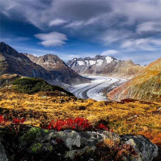 2048x2048 mountains switzerland aletsch glacier alps 4k - nature iPad Air Wallpaper
