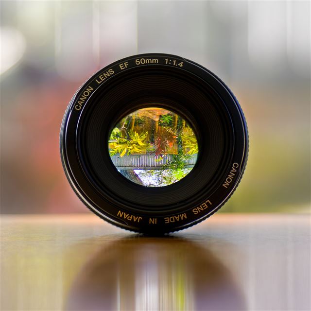 2048x2048 Canon Lens - plant iPad Air Wallpaper