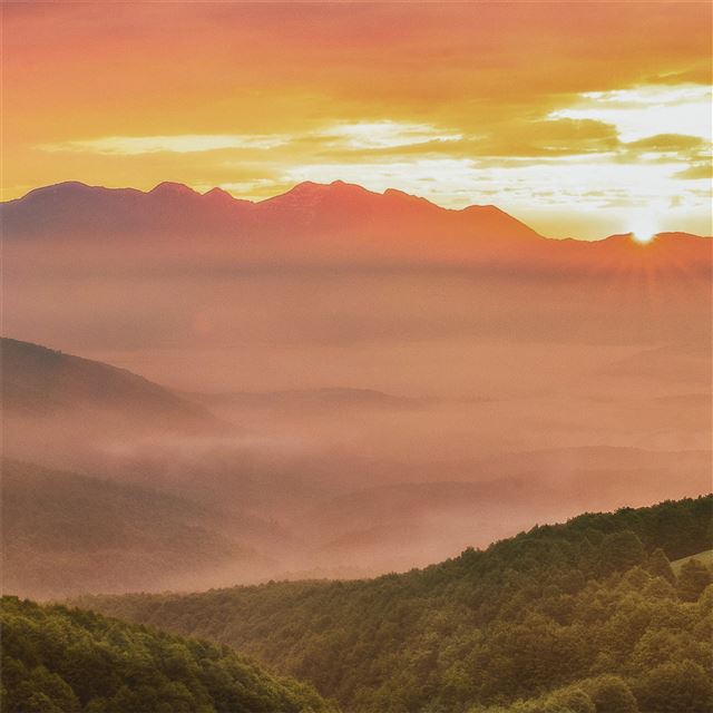 2048x2048 green trees on mountain during sunrise 4k - trees iPad Air Wallpaper