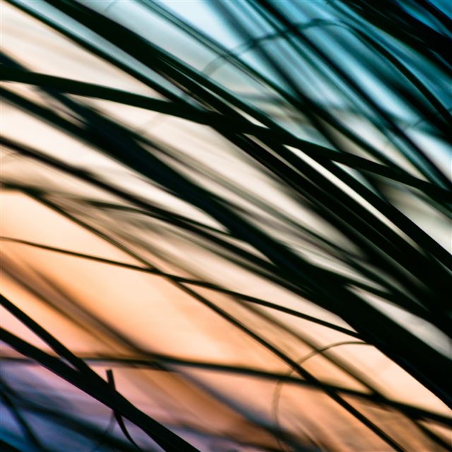 2048x2048 Just Havent Met You Yet - havent iPad Air Wallpaper