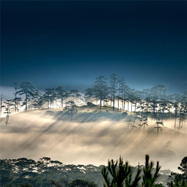 2048x2048 foggy morning hills 8k - morning iPad Air Wallpaper