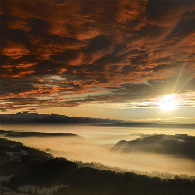 2048x2048 uetliberg sunset 5k -  iPad Air Wallpaper