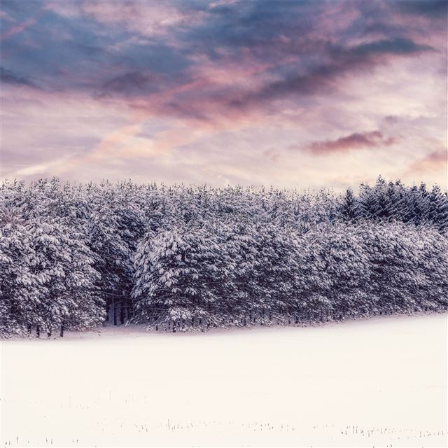 2048x2048 winter nature outdoors 8k - outdoors iPad Air Wallpaper