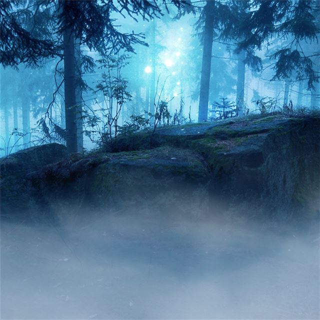 2048x2048 landscape forest dark evening - forest iPad Air Wallpaper