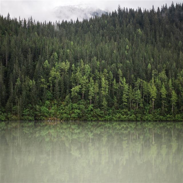 2048x2048 trees water nature clouds 5k - water iPad Air Wallpaper