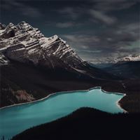 peyto lake banff canada 5k wallpaper