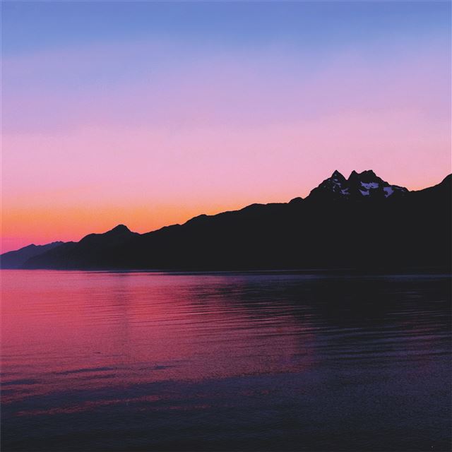 2048x2048 nature outdoors sunset 4k - evening iPad Air Wallpaper