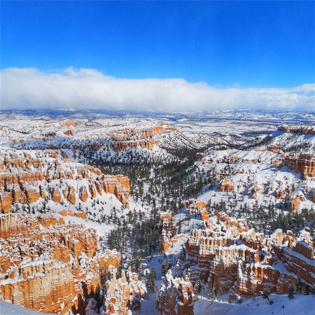 2048x2048 snow at bryce canyon national park 5k - national park iPad Air Wallpaper