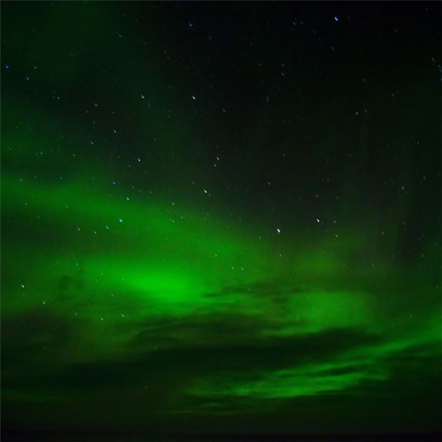 2048x2048 green aurora borealis 8k - green iPad Air Wallpaper