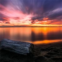 5k seashore at golden hour wallpaper