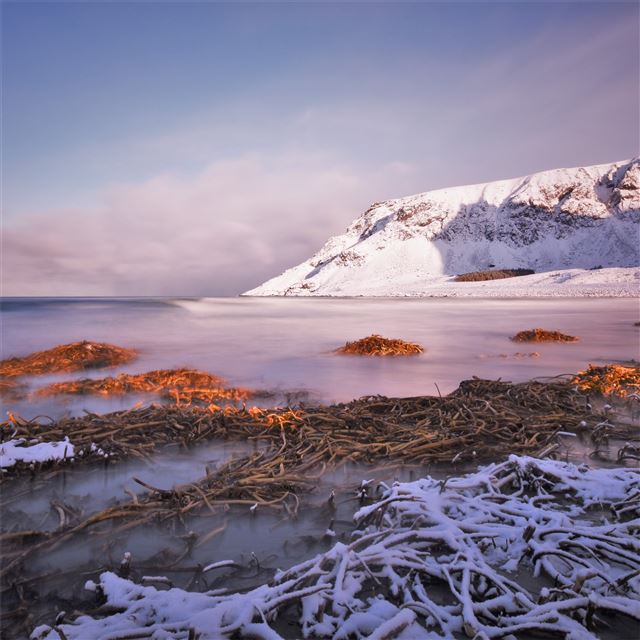 2732x2732 unstad first sun 5k - 4k iPad Pro Wallpaper