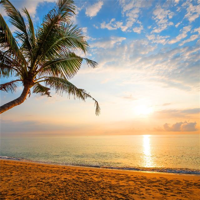 2732x2732 ocean landscape horizon nature 5k - landscape iPad Pro Wallpaper
