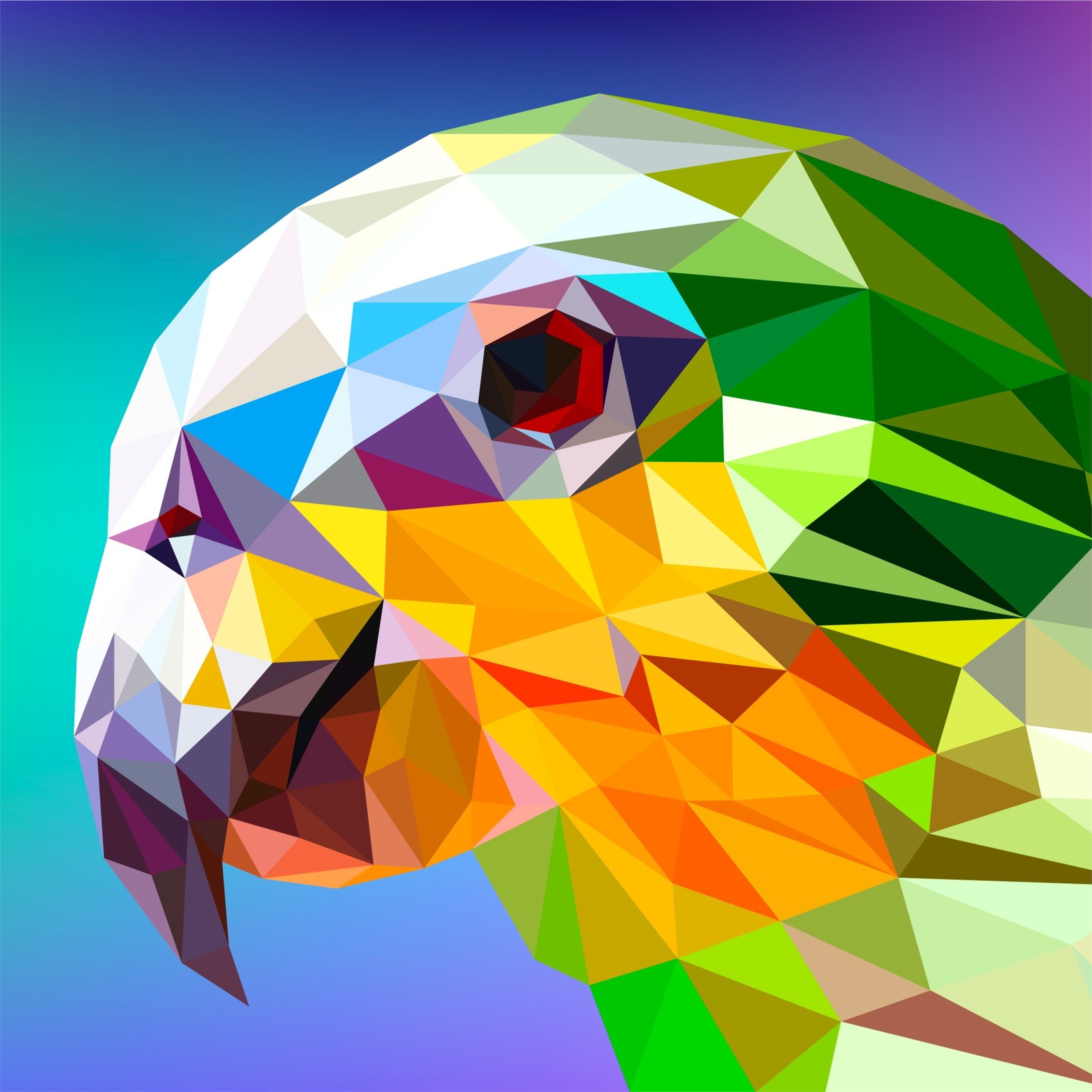 parrot polygon facets iPad Pro Wallpapers Free Download