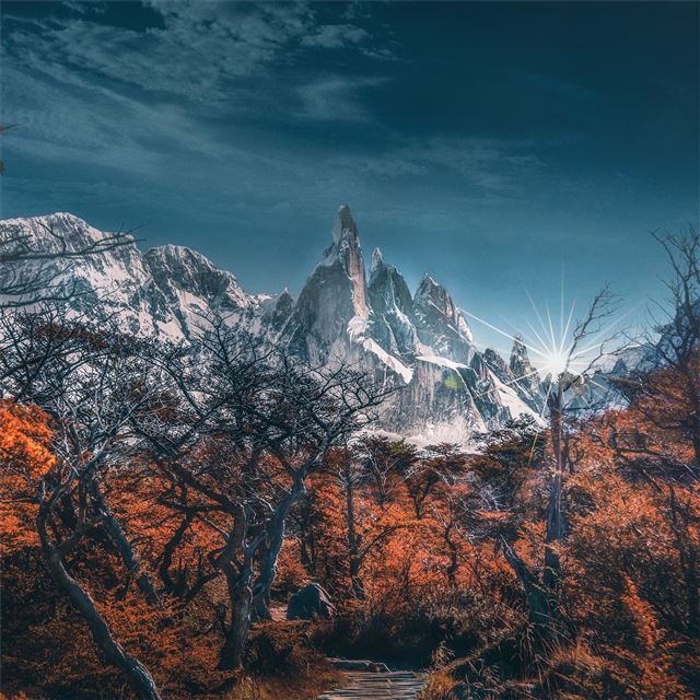 2732x2732 snowy mountains trees landscape 5k - trees iPad Pro Wallpaper