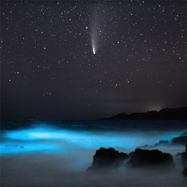 2732x2732 comet neowise 4k -  iPad Pro Wallpaper