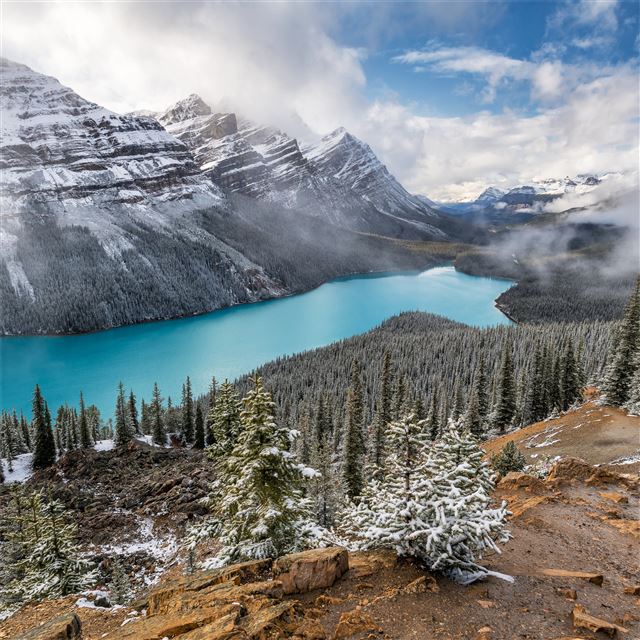 2732x2732 lake alberta scenery 5k - lake iPad Pro Wallpaper