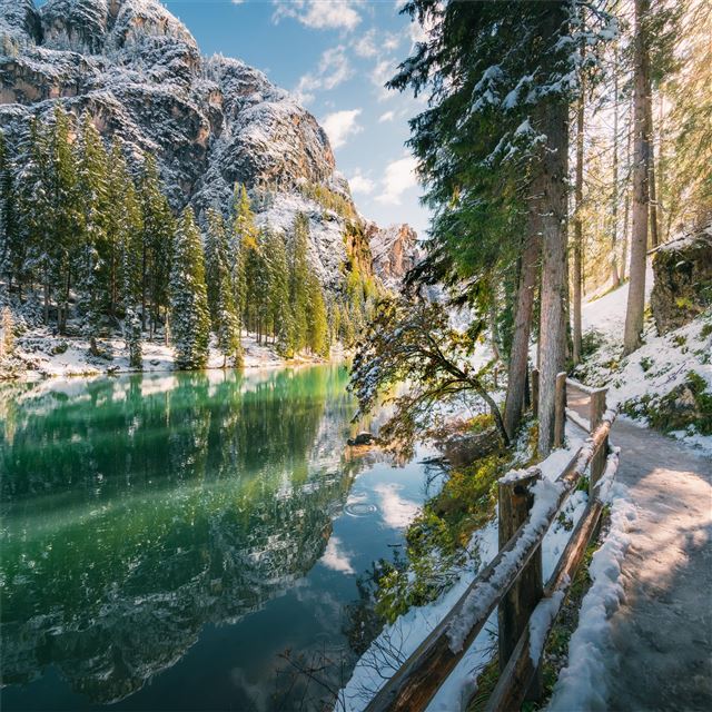 2732x2732 green trees near body of water reflection 8k - trees iPad Pro Wallpaper