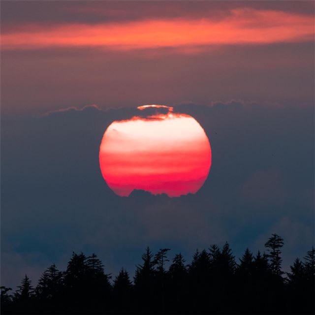 2732x2732 pink hour vancouver island sunset 5k - sunset iPad Pro Wallpaper