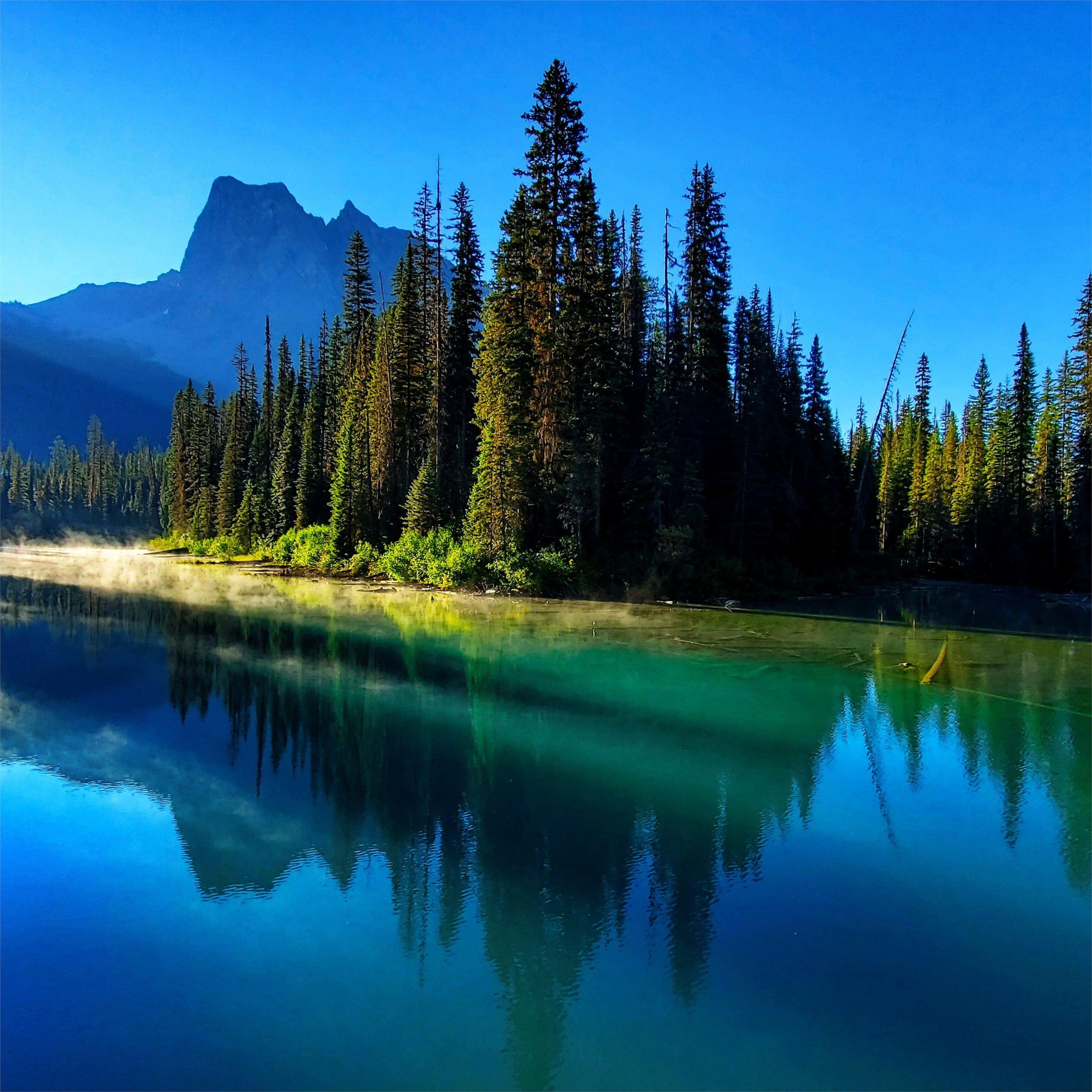 mountains lake canada nature forest woods iPad Pro Wallpapers Free Download