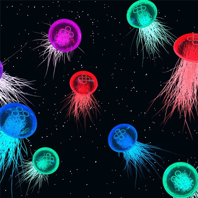 2732x2732 jellyfish space colorful abstract 4k -  iPad Pro Wallpaper