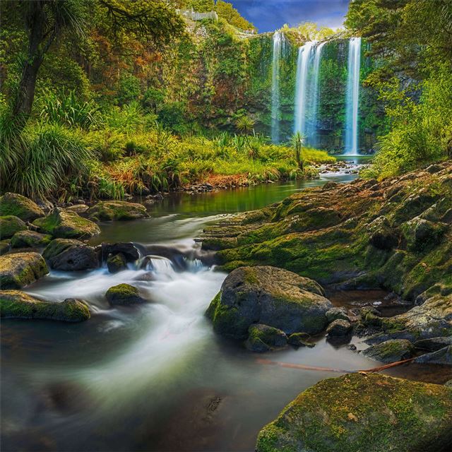 2732x2732 a waterfall flowing through a subtropical forest 8... -  iPad Pro Wallpaper