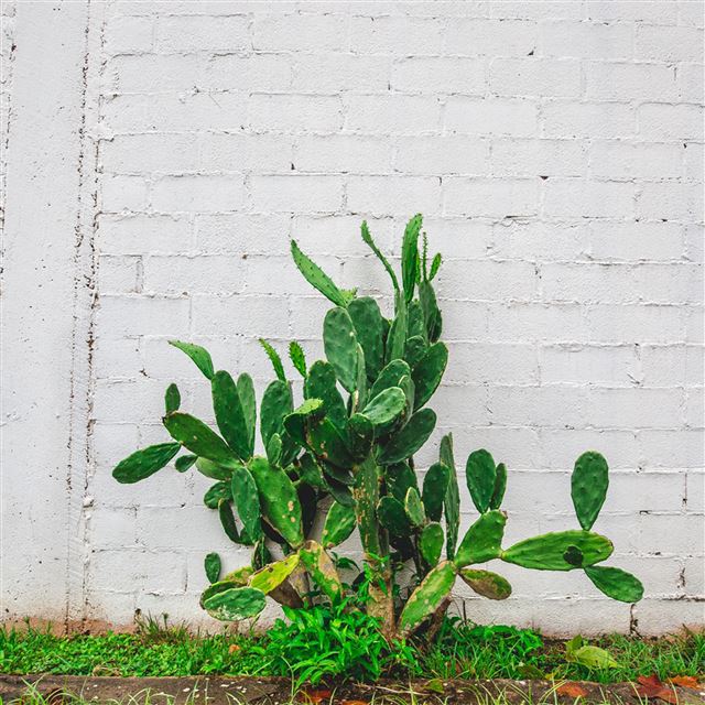 1 Wallpapers In wall Wallpapers For iPad Pro