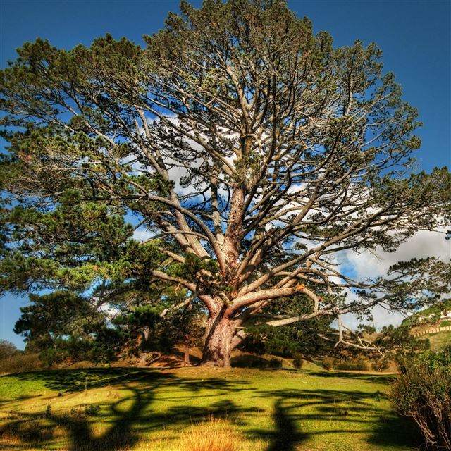 1 Wallpapers In large Wallpapers For iPad Pro