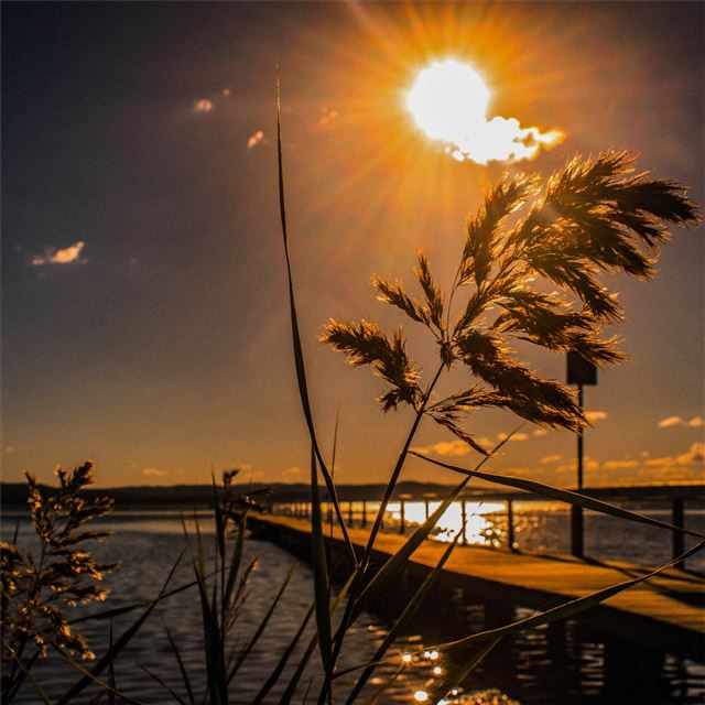 1 Wallpapers In australia Wallpapers For iPad Pro