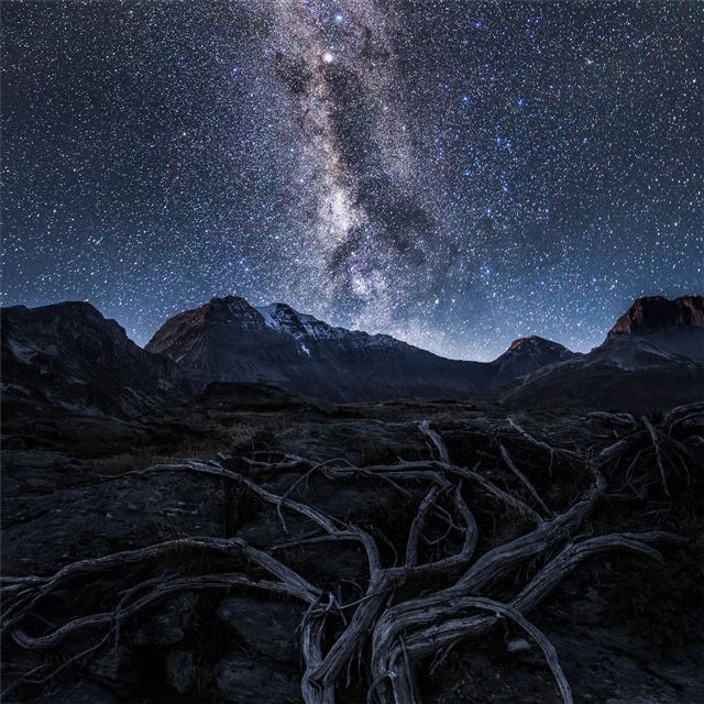 2732x2732 alpine 5k - mountains iPad Pro Wallpaper